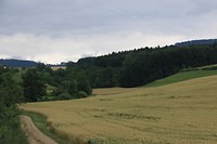 Uitzicht vanaf Eichhof camping