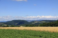 IMG_4876