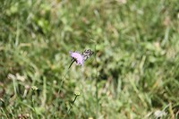 IMG_4879