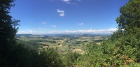 IMG_2006