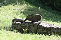 Kunst op een rustplaats