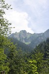 IMG_4915
