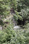 IMG_4920