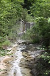 IMG_4921