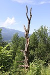 IMG_4926