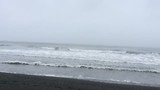 Olympic Park Beach.