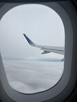 1000031616