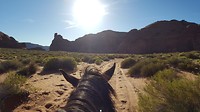 Paardje rijden in Monument Valley