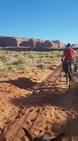 Horsie horsie