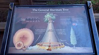 General Sherman