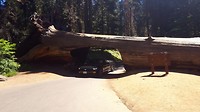 Door Tunnel log