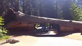 Tunnel log