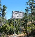 No shooting