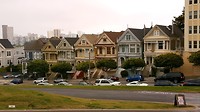 Painted Ladies