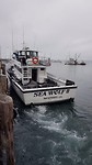 Monterey Bay Whale Watch
