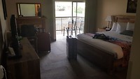 Kamer van Bumbleberry