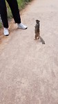 Stick 'em up