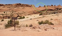 Delicate arch...trail