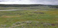 Hayden Valley