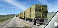 Roadtrain