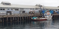 Haven Monterey