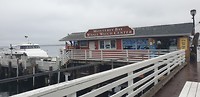 Monterey Whale Watch