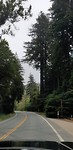 Big sur