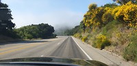 Is dat mist?