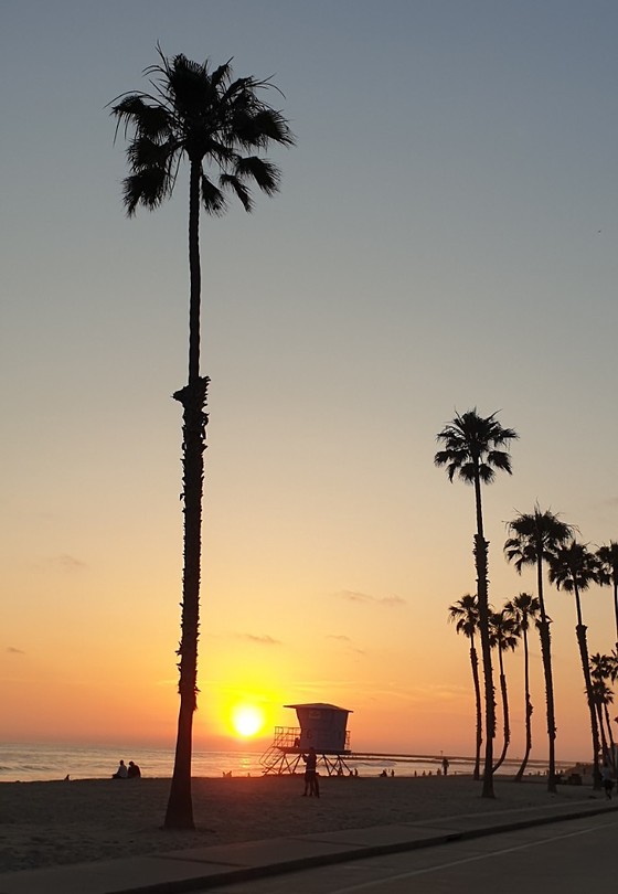 Sunset Oceanside