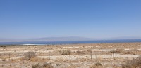 Salon Sea