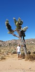Hongaar bij Joshua Tree