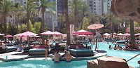 Go pool Flamingo