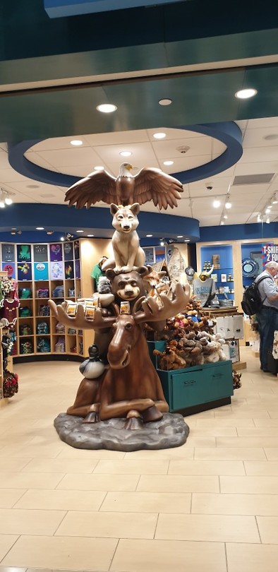 Toch nog een moose 🤣