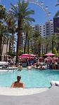 Kip in The pool