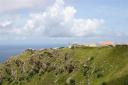 St. Johns