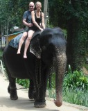 samen op de olifant