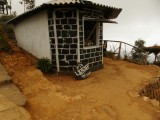 op 2000m lipton teahouse