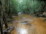 IMG_20140802_070716