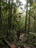 actiefoto