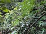 IMG_20140802_071433