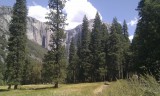 IMAG0229