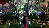 IMG_20140905_233010