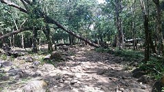 IMG-20170113-WA0013