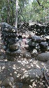 IMG-20170113-WA0006