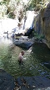 IMG-20170118-WA0013