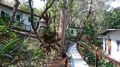 IMG-20170117-WA0038