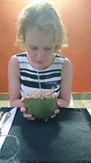 IMG-20170117-WA0031