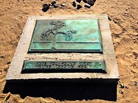Plaquette bij the fallen joshua tree