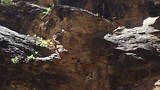 the Narrows