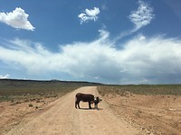 “Roadblock” onderweg naar Tatahatso Point